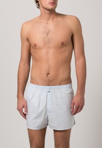 Boxer in cotone azzurra chiara con righe bianche verticali, vita elastica e una piccola apertura frontale. Nessun ulteriore motivo o accento.