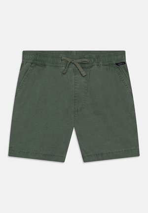 Olivengrønne shorts med elastisk linning og snøre. Har sidelommer og en glat, let tekstur. Standard pasform.