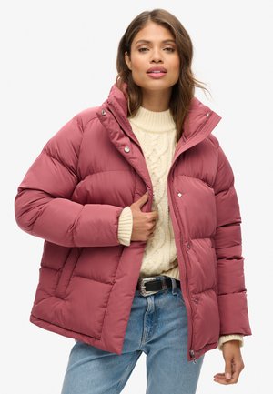 PUFFER - Winterjas - roan rouge burgundy