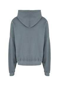 Hooded sweatshirt in soft gray fabric, featuring a relaxed fit, ribbed hem, and cuffs. Smooth texture with no visible patterns or accents.