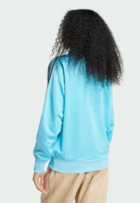 Helles blaues Sweatshirt aus glattem Stoff, mit gerippten Bündchen und Saum, und braunen Streifen entlang der Schultern. Lockerer Schnitt.