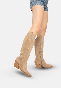 Beige suède kniehooglaarzen met een puntige neus, decoratieve stiksels, een ritssluiting aan de zijkant en een gestapelde houten hak. Geschikt voor casual gebruik.