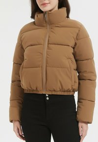 Non sélectionné, marron