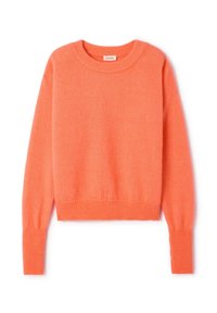 Neizvēlēts, saumon chine