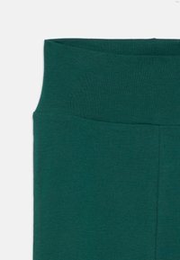 Mėlynos-žalios spalvos legginai su plačiu, palaikančiu juosmeniu. Pagaminti iš minkštos, tamprios medžiagos su lygiu paviršiumi ir minimaliais siūlais.