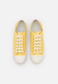 Candice Cooper ROCK - Matalavartiset tennarit - tamponato panna sun