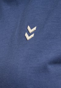 Zwei weiße nach unten zeigende Chevron-Streifen, auf blauem Stoff gestickt, wahrscheinlich Teil eines Kleidungsstücks.