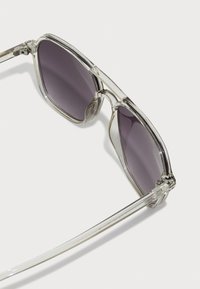 Occhiali da sole con montatura trasparente e lenti grigio scuro, caratterizzati da una forma geometrica e tempietti eleganti. In evidenza il dettaglio della cerniera e il design minimalista.