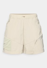 SHORT ESSENTIAL CARGO BAGGIES - Outdoorové šortky - agate gray