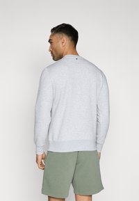 Gray cotton sweatshirt with long sleeves and ribbed cuffs, worn with green shorts. Features a small black accent on the back neckline.