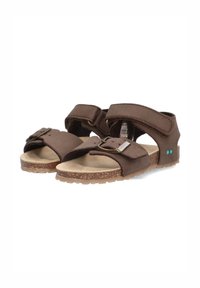 BunniesJR BEN BEACH - Babyschoenen - donkerbruin