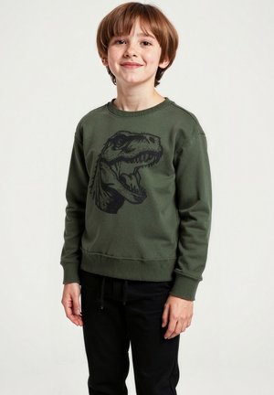 Felpa verde con una grafica di un dinosauro nero sulla parte anteriore. Presenta un collo e maniche a costine. Abbinata a pantaloni neri.
