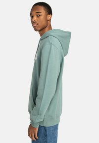 Hooded sweatshirt in soft green fabric, featuring a kangaroo pocket, ribbed cuffs, and a round logo design on the chest.