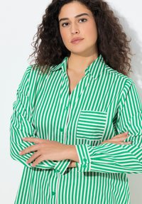 Camisa a rayas verdes y blancas con cuello, mangas largas y un bolsillo en el pecho. Botones en la parte delantera con rayas verticales.