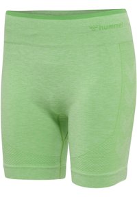Pantaloni corti atletici verdi realizzati in materiale leggero, con una texture liscia, pannelli laterali testurizzati e un logo in vita.