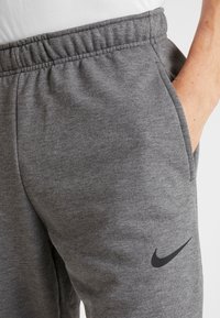 Šedé tepláky s elastickým pasem a bočními kapsami. Na levém stehně se nachází černé logo Nike. Měkká, hladká textura.