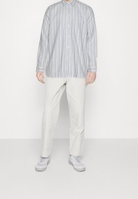 Gestreepte lange mouwen shirt in wit en blauw met een knoopsluiting, gecombineerd met lichtbeige broek en grijze sneakers. Soepele stoftextuur.