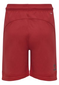 Pantaloni corti sportivi rossi con una superficie liscia, vita elasticizzata e un piccolo dettaglio del logo verde vicino all'orlo. Presentano cuciture laterali per una migliore vestibilità.