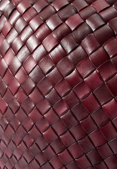 DRAGON DIFFUSION EGOLA - Rankinė - bordo