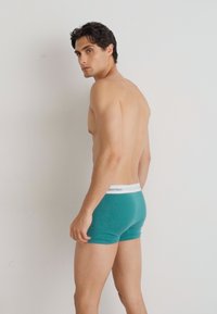 Teal boxer briefs med en hvit Calvin Klein-midjebånd, tettsittende design og mykt stoff, båret av en mannelig modell sett fra siden.