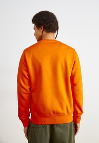 Oranžs džemperis ar apaļu kakla izgriezumu un garām piedurknēm, izgatavots no mīksta materiāla, ar ribotu apakšmalu un piedurknēm. Nav redzamu rakstu.