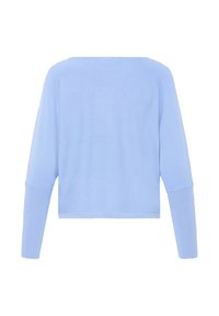 Pull bleu clair à manches longues avec un ourlet droit, un large col bateau et des poignets ajustés, présenté de dos sur un fond blanc.