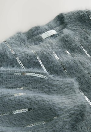 Pullover grigio e peloso con scollatura rotonda. Presenta righe verticali di lucenti paillettes argento. L'etichetta riporta la scritta "NEXT", indicando il marchio.