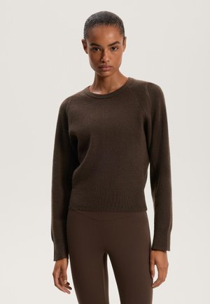 FITTED WAIST - Pullover - brown