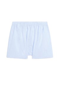 Světlé modré bavlněné trenýrky s vertikálními bílými pruhy, vybavené elastickým pasem a volným střihem. Bez dalších ozdob nebo akcentů.