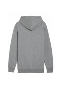 Puma Jersey con capucha - grey