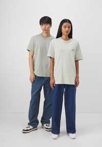 Tommy Jeans SIGNATURE - Camiseta básica - faded willow
