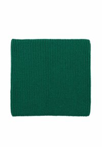 Sciarpa rettangolare verde lavorata a maglia con texture a costine, caratterizzata da cuciture uniformi e un colore solido. Nessun ulteriore motivo o decorazione.