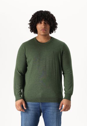 Polo Ralph Lauren Big & Tall LONG SLEEVED PULLOVER - Pulóver - classic olive