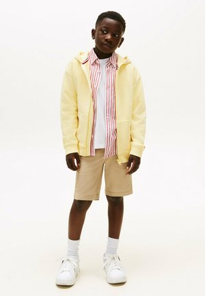 TONAL FLAG EMBROIDERY  - Sweater met rits - citronella