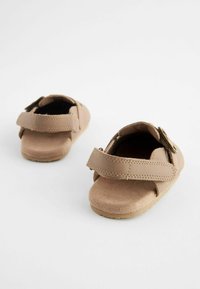 Next PRAM  - Puukingad - neutral