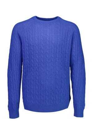 RAGLAN CABLE O-NECK - Strickpullover - bright blue mel