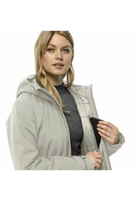 Jack Wolfskin HEIDELSTEIN - Wintermantel - dove