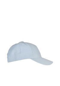 Flexfit YP CLASSICS 5-PANEL CURVED VISOR SNAPBACK - Naģene - ballad blue