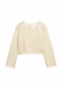 Pull en crochet couleur crème, avec un design en maille ouverte et lâche, longueur cropped, et manches longues. Présente des poignets et un ourlet côtelés.