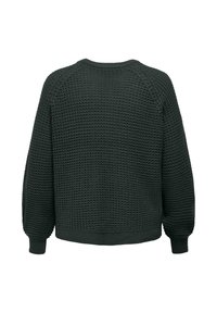 Pull en tricot vert foncé à manches longues avec un motif texturé, poignets, encolure et ourlet côtelés, présenté de dos sur un fond blanc.