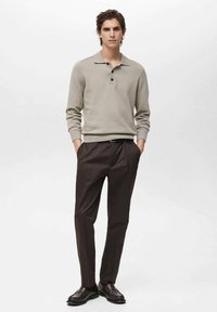 Light grey knitted sweater with a collar, three buttons, paired with dark brown trousers and black loafers. Simple, fitted design.