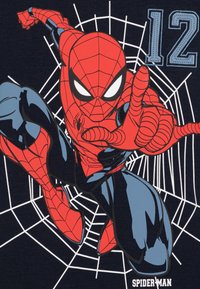 Red and blue Spider-Man graphic on dark navy background, featuring web pattern and the number "12" in light blue.