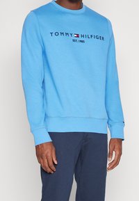Felpa blu realizzata in misto cotone, con collo tondo e polsini a coste. Fronte con la scritta "TOMMY HILFIGER EST. 1985" in testo scuro.
