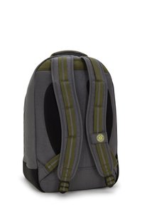 Grauer Rucksack aus strapazierfähigem Stoff mit grün-grauen gestreiften Trägern, gepolstertem Mesh-Rücken und schwarzem Boden.