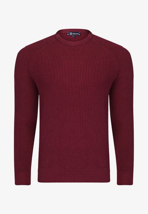 MEN'S PULLOVER - Maglione - purple