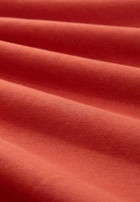 TOM TAILOR DENIM BASIC MIT LOGO PRINT - Mikina - velvet red