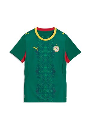 Puma, Maillot de foot - wild green- red