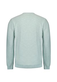 Lichtgroene trui van zacht stof, met een ronde hals, lange mouwen, en geribde manchetten en zoom. Soepele textuur met een minimaal patroon.