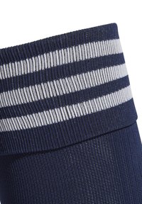 adidas Performance 23 - Scaldamuscoli - tenabl white