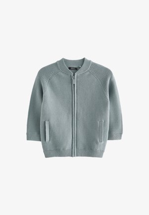 Lächelnder Junge trägt einen hellblauen Reißverschluss-Pullover über einem weißen Hemd und dunklen Hosen, steht vor einem beigen Hintergrund.